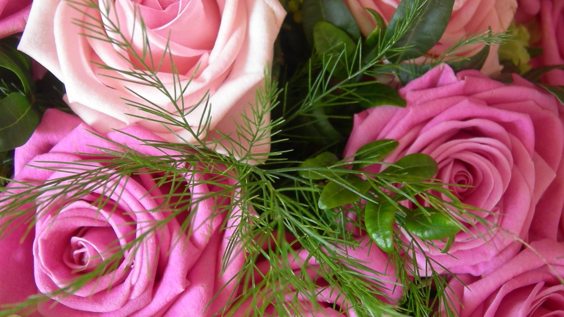 Troyes de romantische