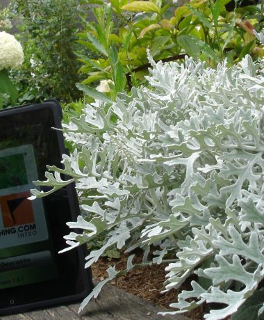 Geocaching in Troyes