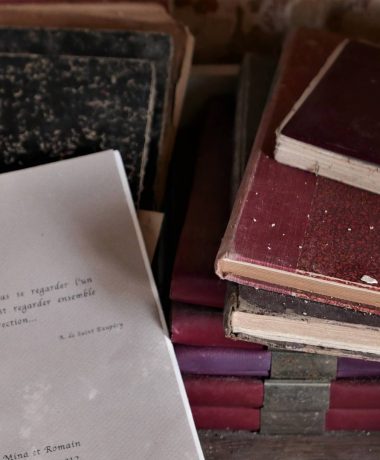 De stad van de roman