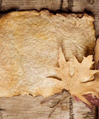 Het eerste papier “made in France”