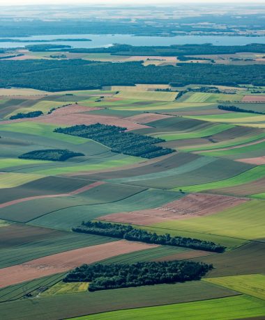 Op de kruising van Champagnestreken