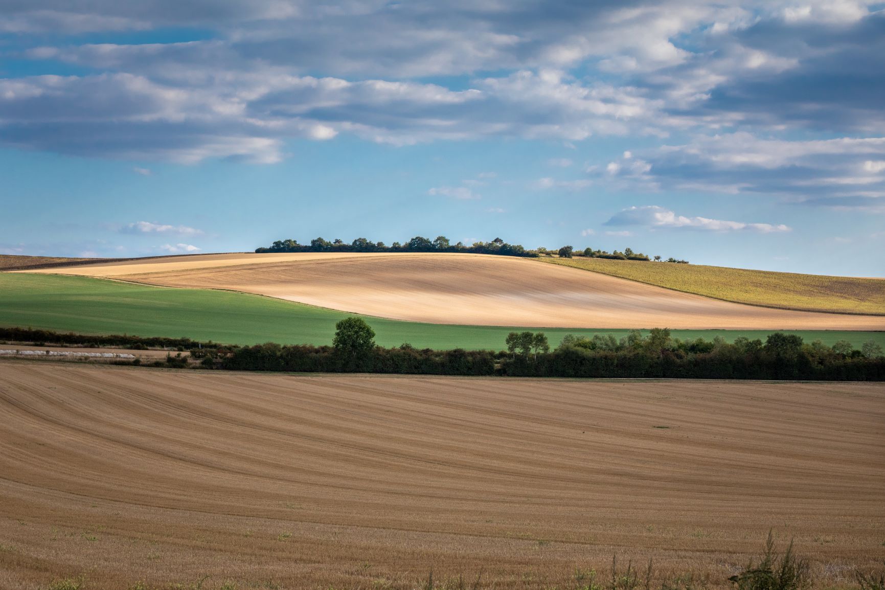 Tussen de vlakte en het Barrois plateau