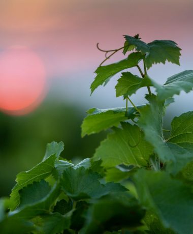 Tussen 5 en 10 km van Troyes
