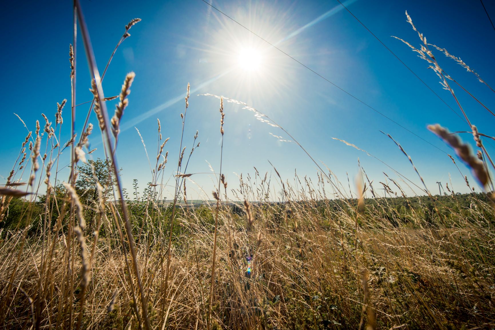Het merk “Troyes la Champagne”