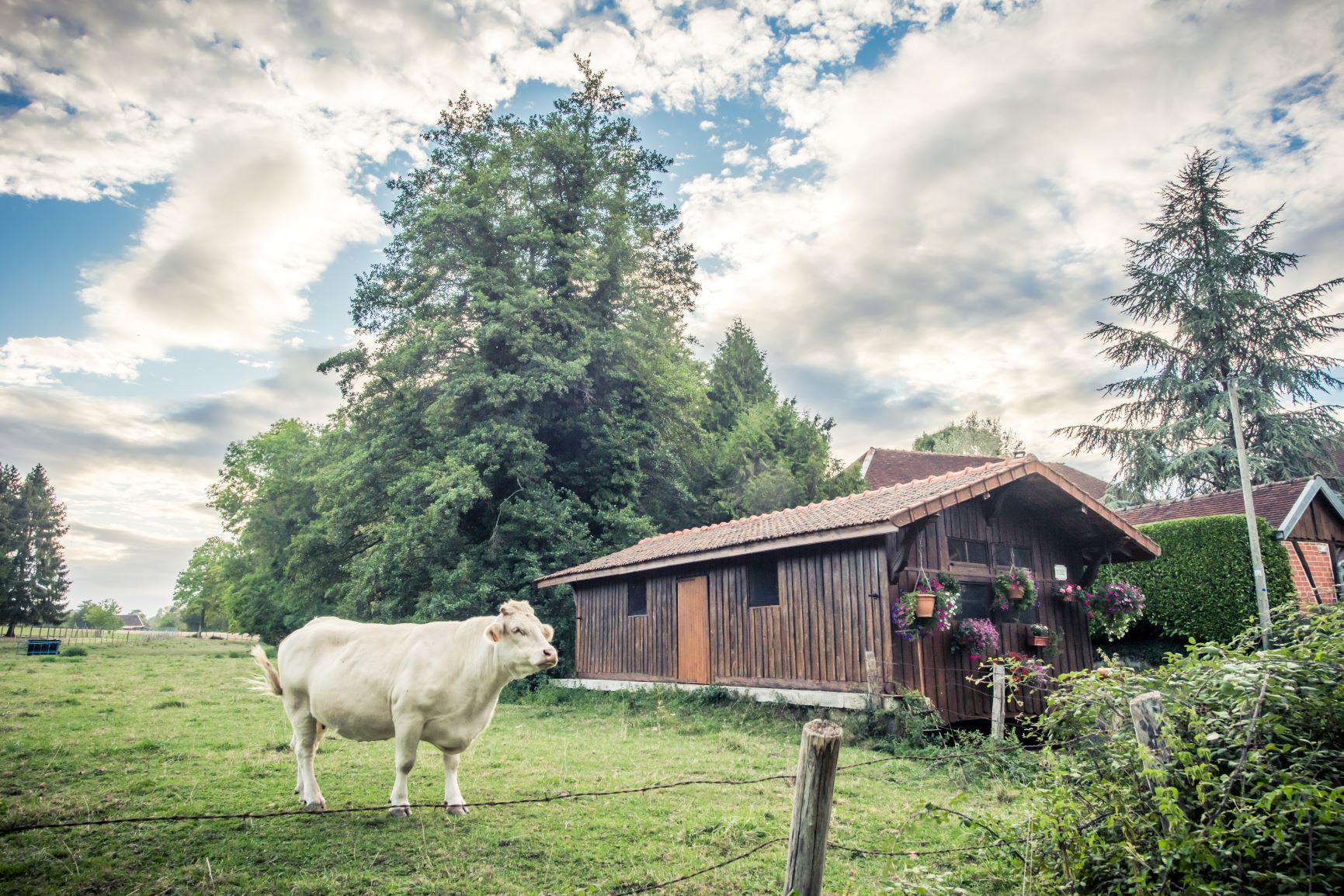Rondom Troyes ligt de Champagne
