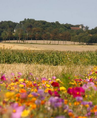 De regelgeving in de Aube