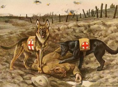 Een eerbetoon aan mijn voorouders!