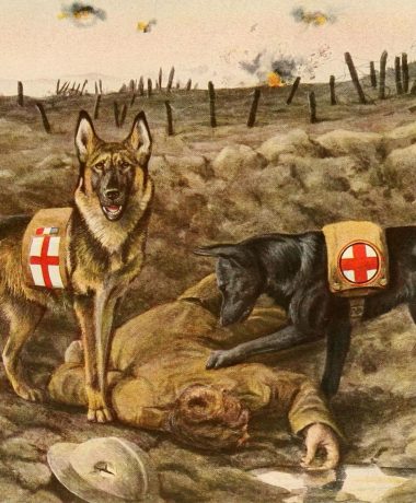 Een eerbetoon aan mijn voorouders!