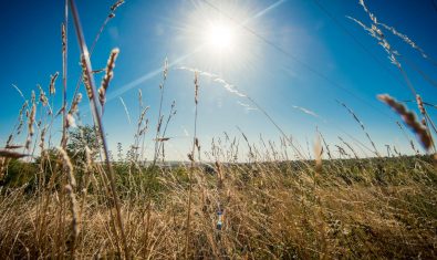 Een Vleugje Normandië