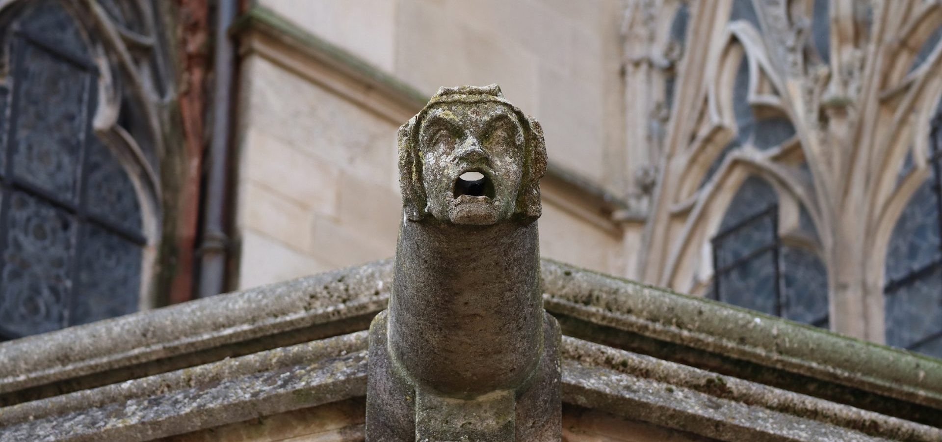 Onverschrokken zusters