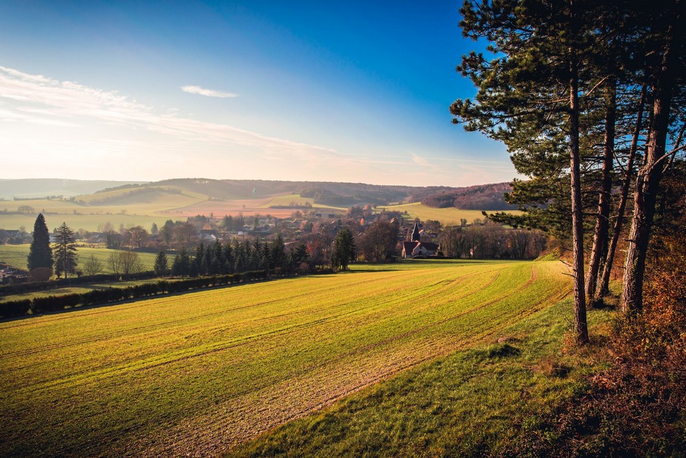 Een grafisch universum