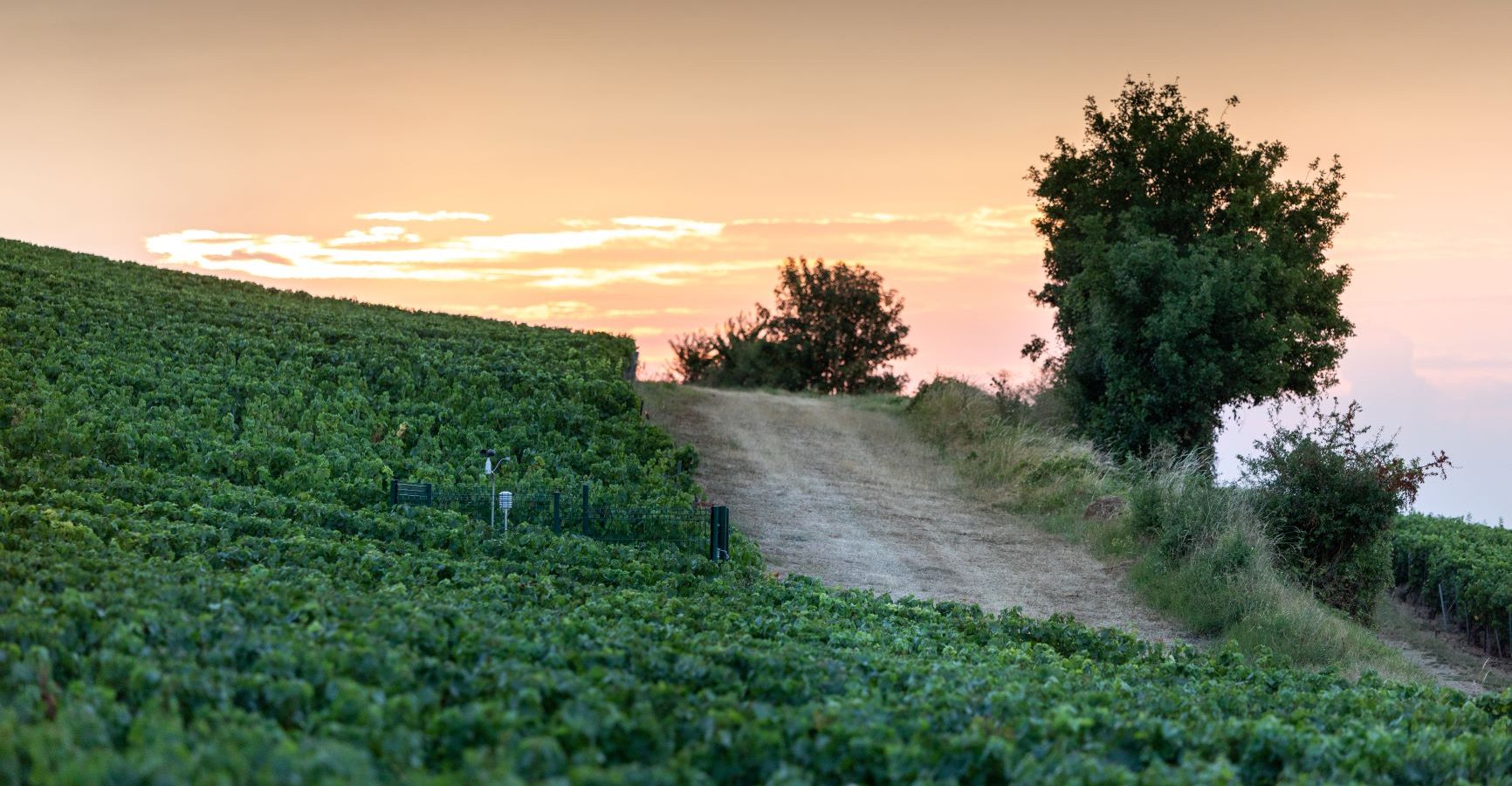 Les Routes Terres & Vignes en Gîtes & Vignes et Gîtes