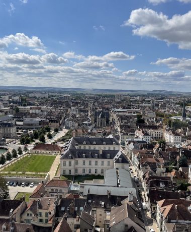 Als een vogel zonder vleugels!