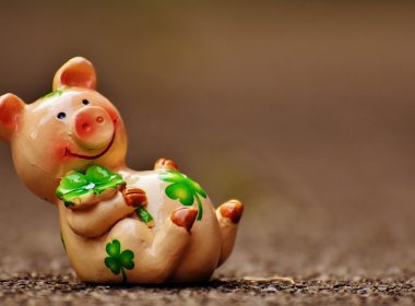 Ode aan de Andouillette van Troyes