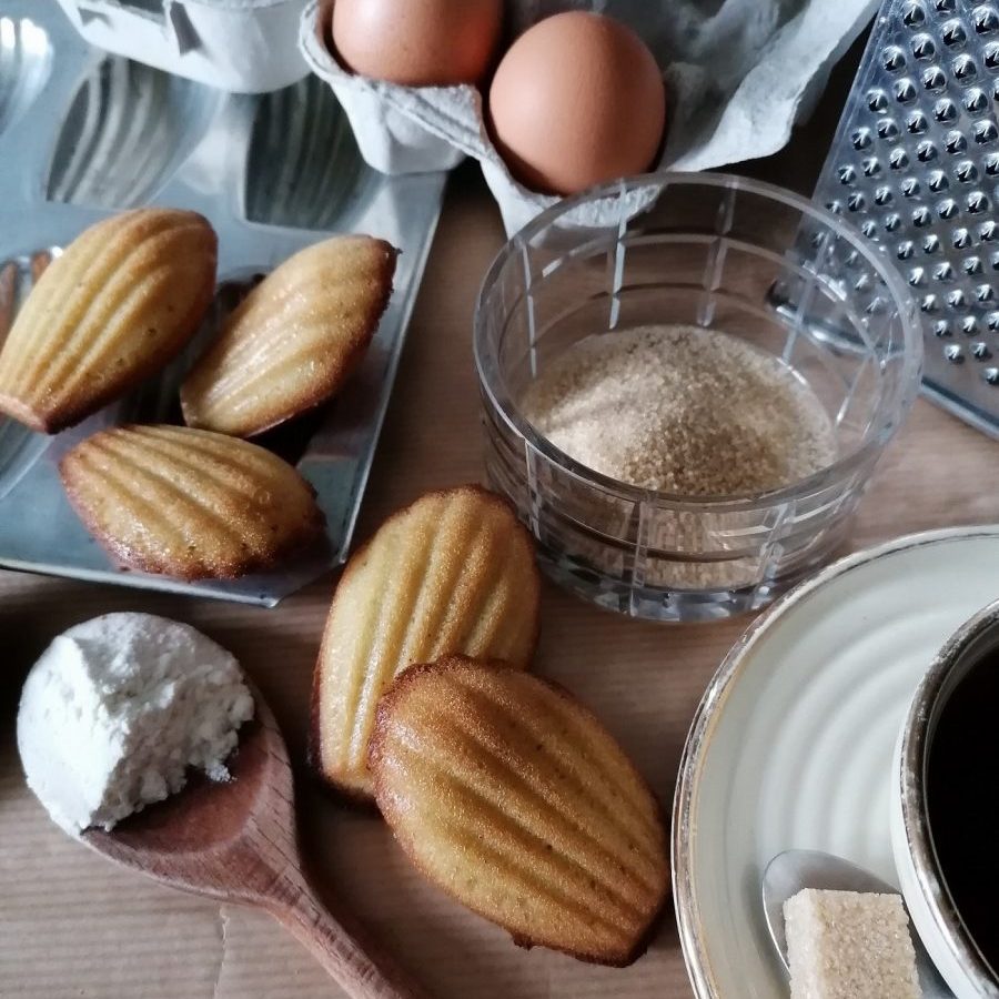 Léonie Aviat-madeleines