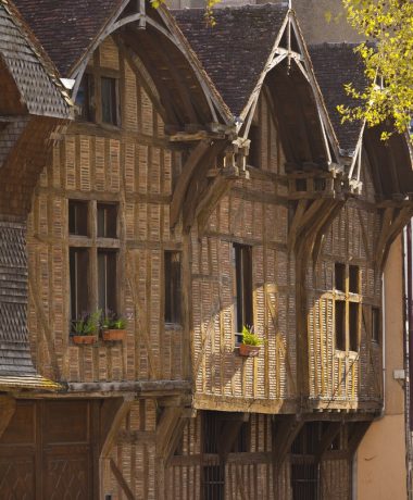 Een geleidelijke opbloei