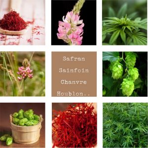 Zeldzame planten, onbekende producenten