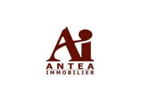 Antea Immobilier