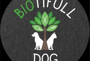 Biotifull Dog