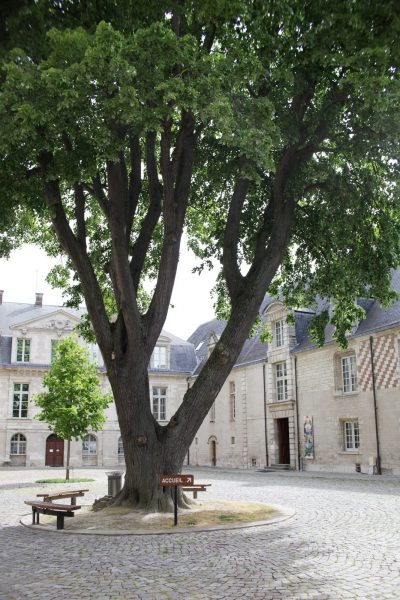 Musée d’Art moderne – Collections nationales Pierre et Denise Lévy – JEP 2026