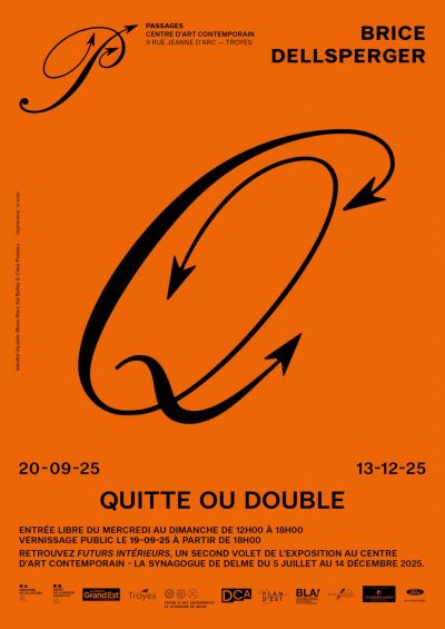 Exposition “Quitte ou Double” de Brice Dellsperger