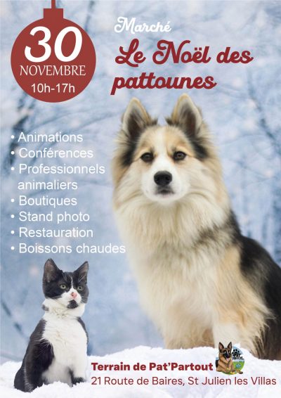 Le Noël des Pattounes 2025