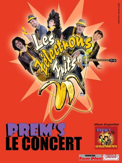 Concert Les Zelectrons Frits