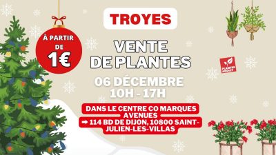 Vente de plantes et végétaux
