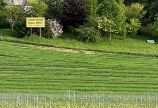 Champagne Didier Doué