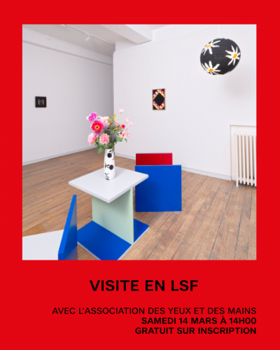 Visite en LSF de l’expo “Casa Karina”