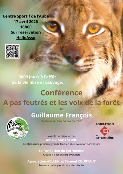 Conférence “A pas feutrés et les voix de la forêt”