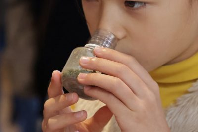 Visite ludique “Nature et sens en éveil”