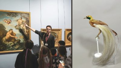 Visite-atelier “Les animaux fantastiques du musée”