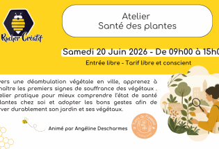 Atelier Santé des plantes