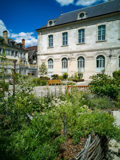 Flânerie – Secrets d’Apothicaire : les remèdes botaniques