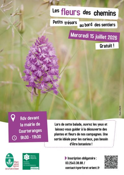 Les fleurs des chemins : Petits trésors au bord des sentiers