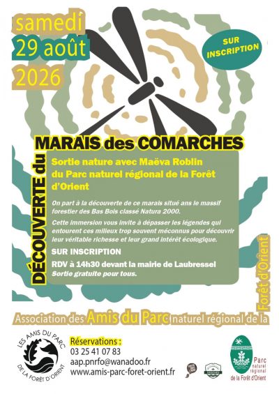 À la rencontre du marais des Comarches