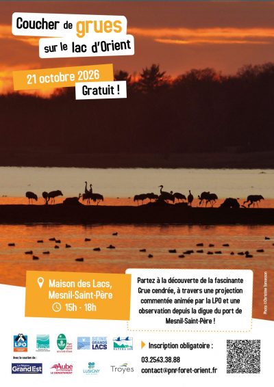 Spectacle « Un peu de vent dans les plumes »